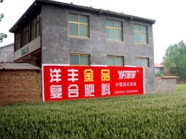 太白如何让墙体广告展现最大化效果