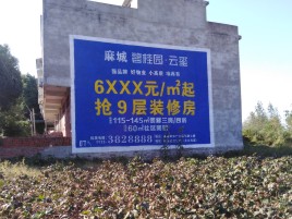 太白品牌公司青睐的墙体广告