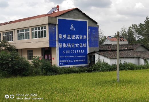 太白决定墙体广告价格的因素有哪些？